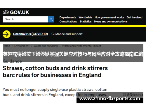 英超或将暂按下暂停键掌握关键应对技巧与风险应对全攻略指南汇编