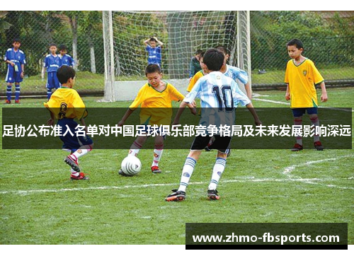 足协公布准入名单对中国足球俱乐部竞争格局及未来发展影响深远