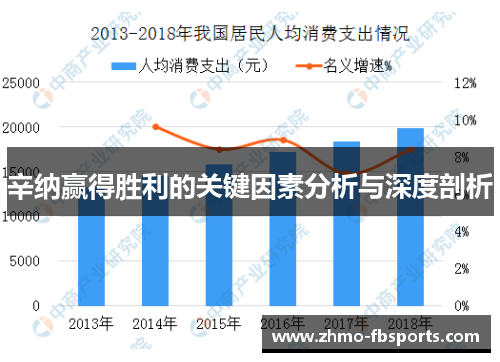辛纳赢得胜利的关键因素分析与深度剖析