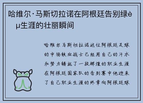 哈维尔·马斯切拉诺在阿根廷告别绿茵生涯的壮丽瞬间 哈维尔·马斯切拉诺在阿根廷告别绿茵生涯的壮丽瞬间