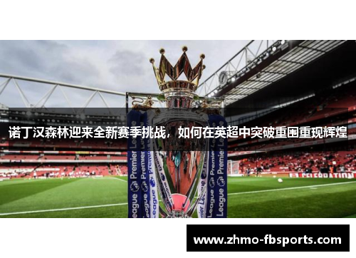 诺丁汉森林迎来全新赛季挑战，如何在英超中突破重围重现辉煌