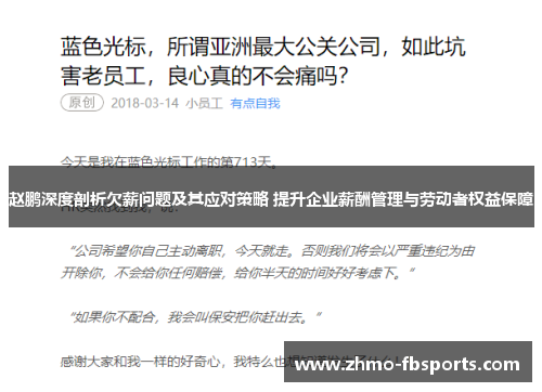 赵鹏深度剖析欠薪问题及其应对策略 提升企业薪酬管理与劳动者权益保障