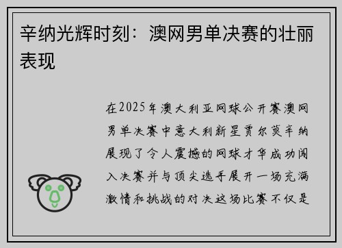辛纳光辉时刻：澳网男单决赛的壮丽表现