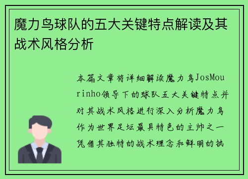 魔力鸟球队的五大关键特点解读及其战术风格分析 魔力鸟球队的五大关键特点解读及其战术风格分析